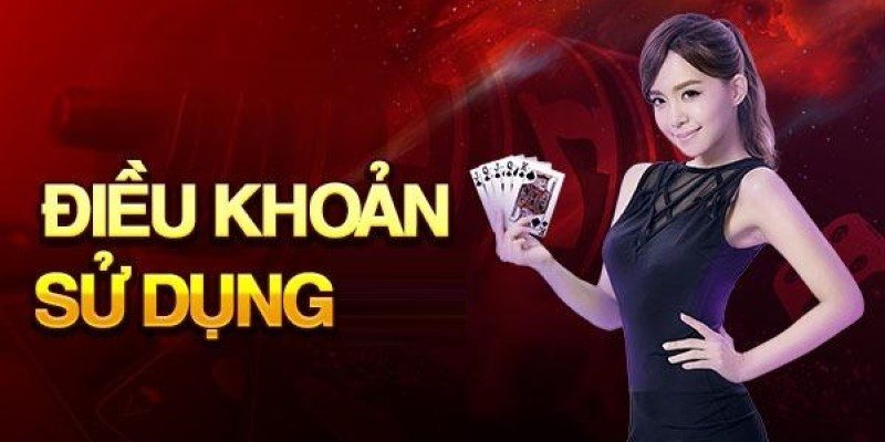 Điều khoản sử dụng 1 Tầm quan trọng của điều khoản VF555